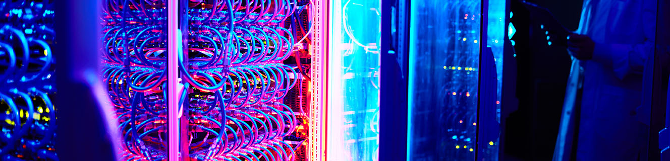 Enterprise Network 4 Enterprise Network IT infrastructure
