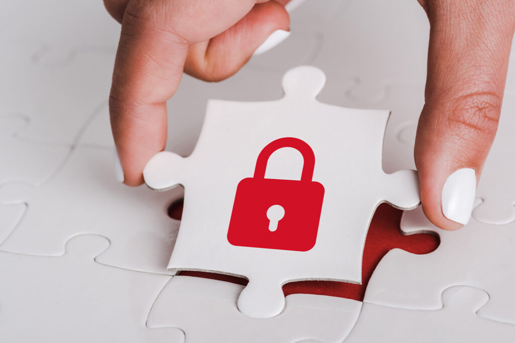 Web Security 6 Web Security IT infrastructure