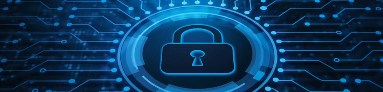 Data Loss Protection (DLP) 4 Data Loss Protection (DLP) IT infrastructure
