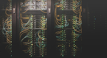 What We Do IT Solutions Company