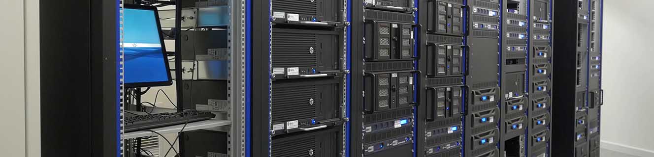 Enterprise Server and Storage Systems 4 Enterprise Server and Storage Systems IT infrastructure